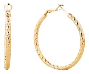 SJE310009 14K Gold Metal Omega Closure Textured Hoops